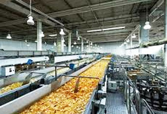 Food Processing